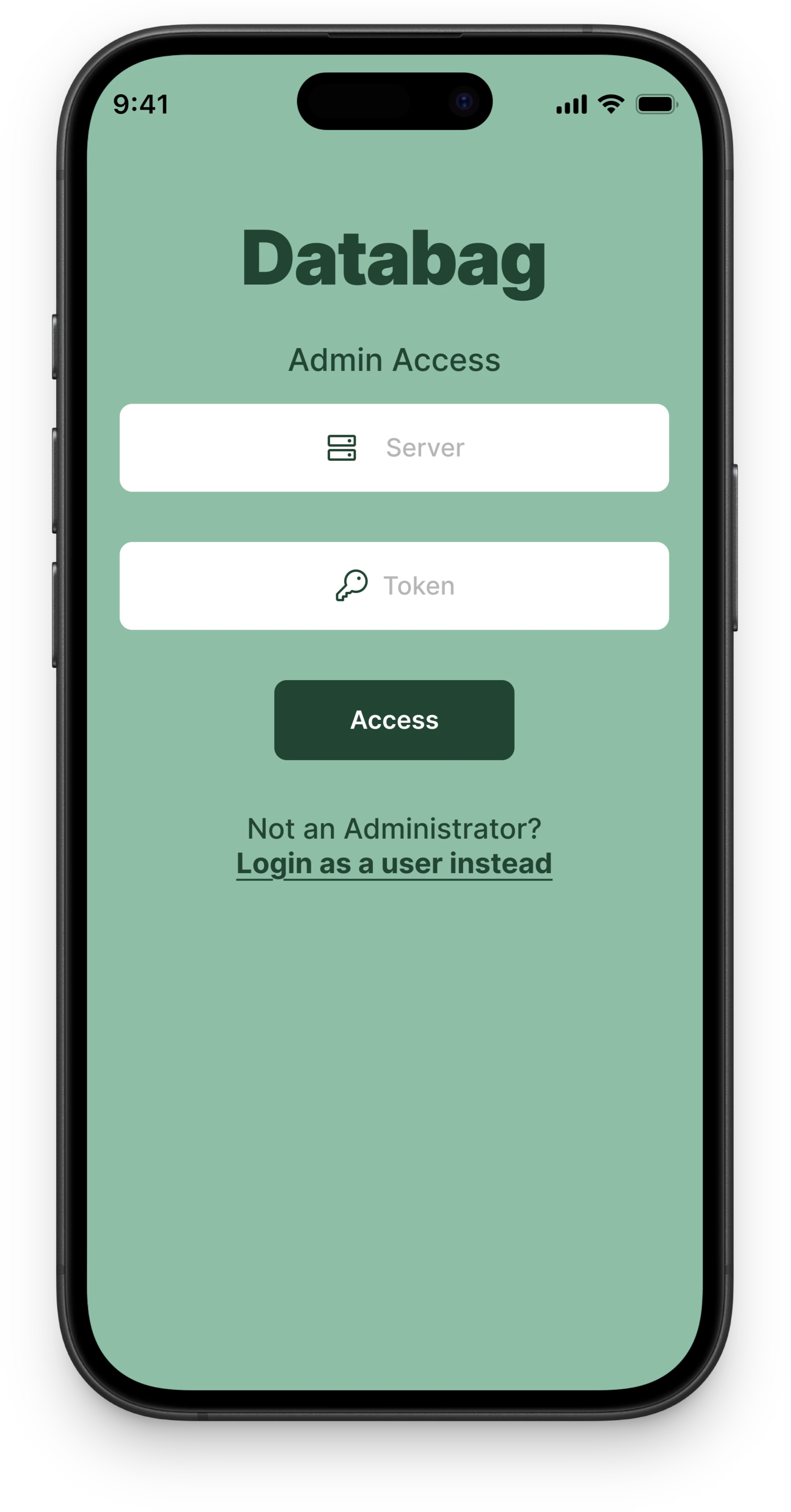 Databag app interface showcase