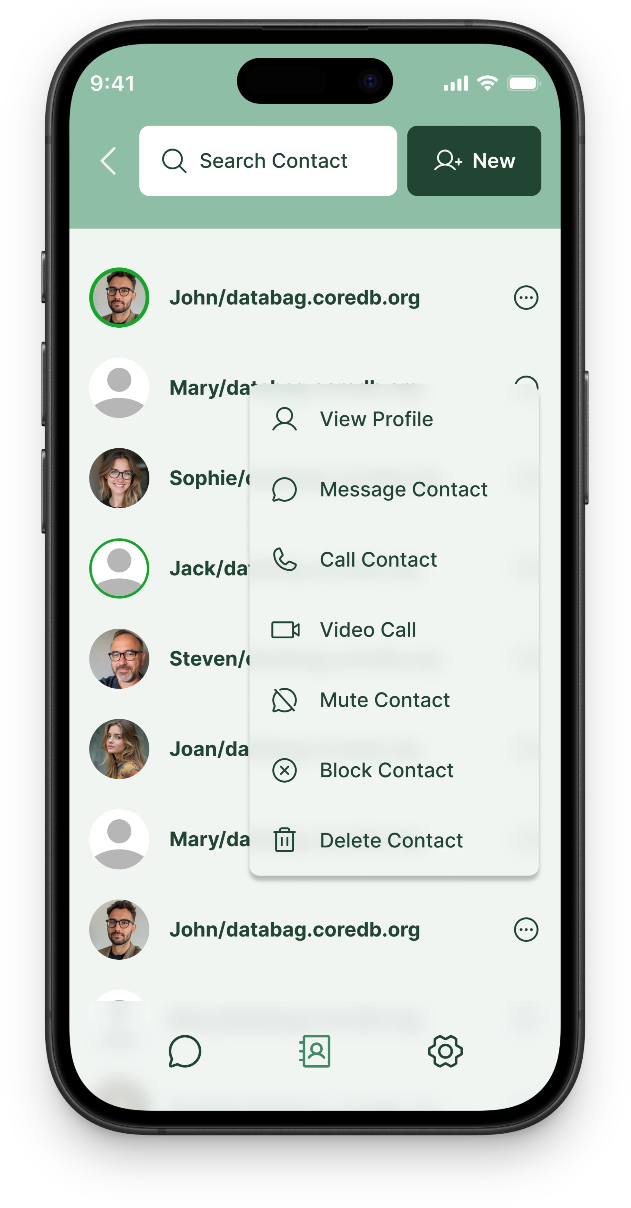 Databag app interface showcase