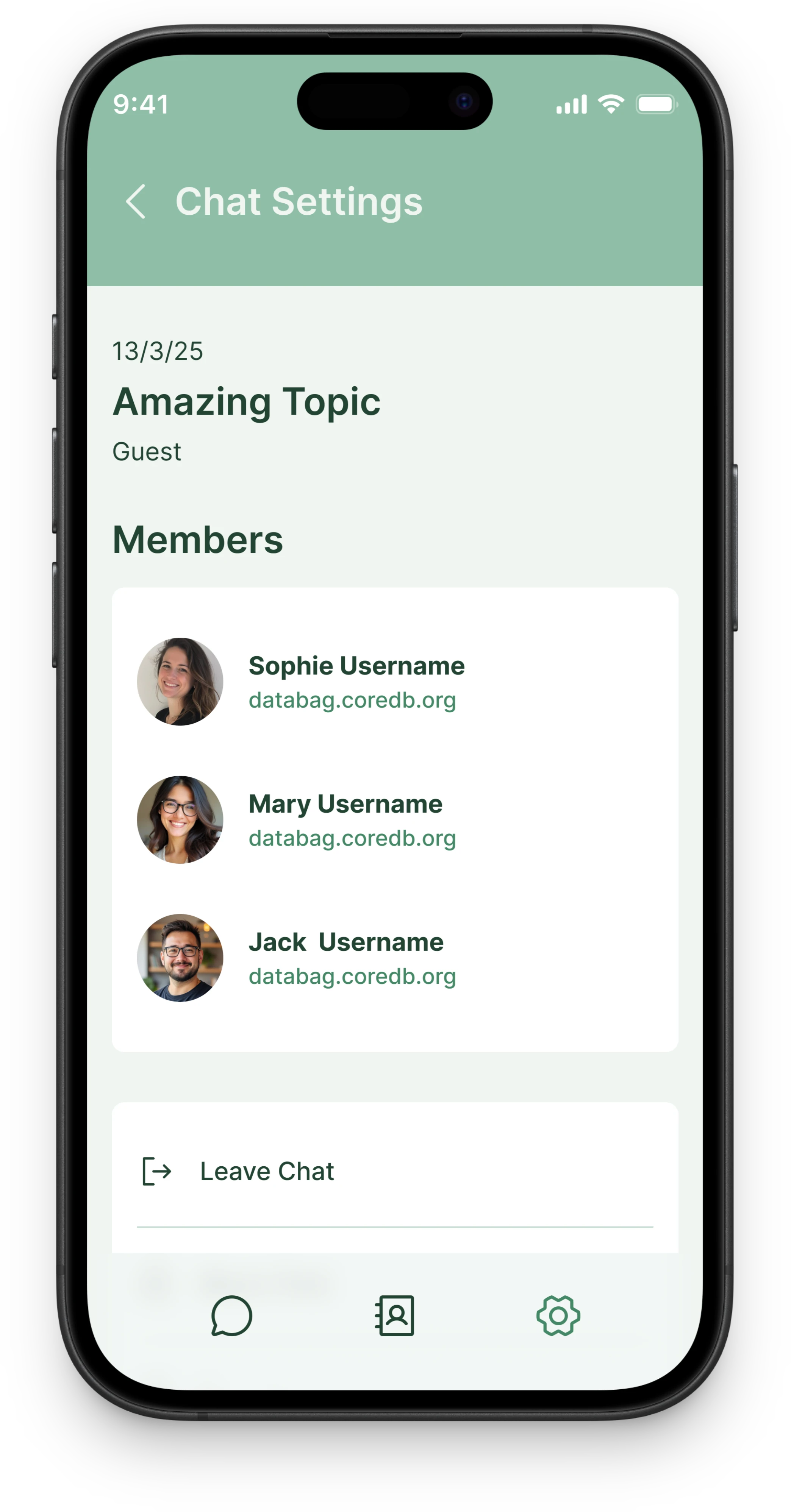 Databag app interface showcase