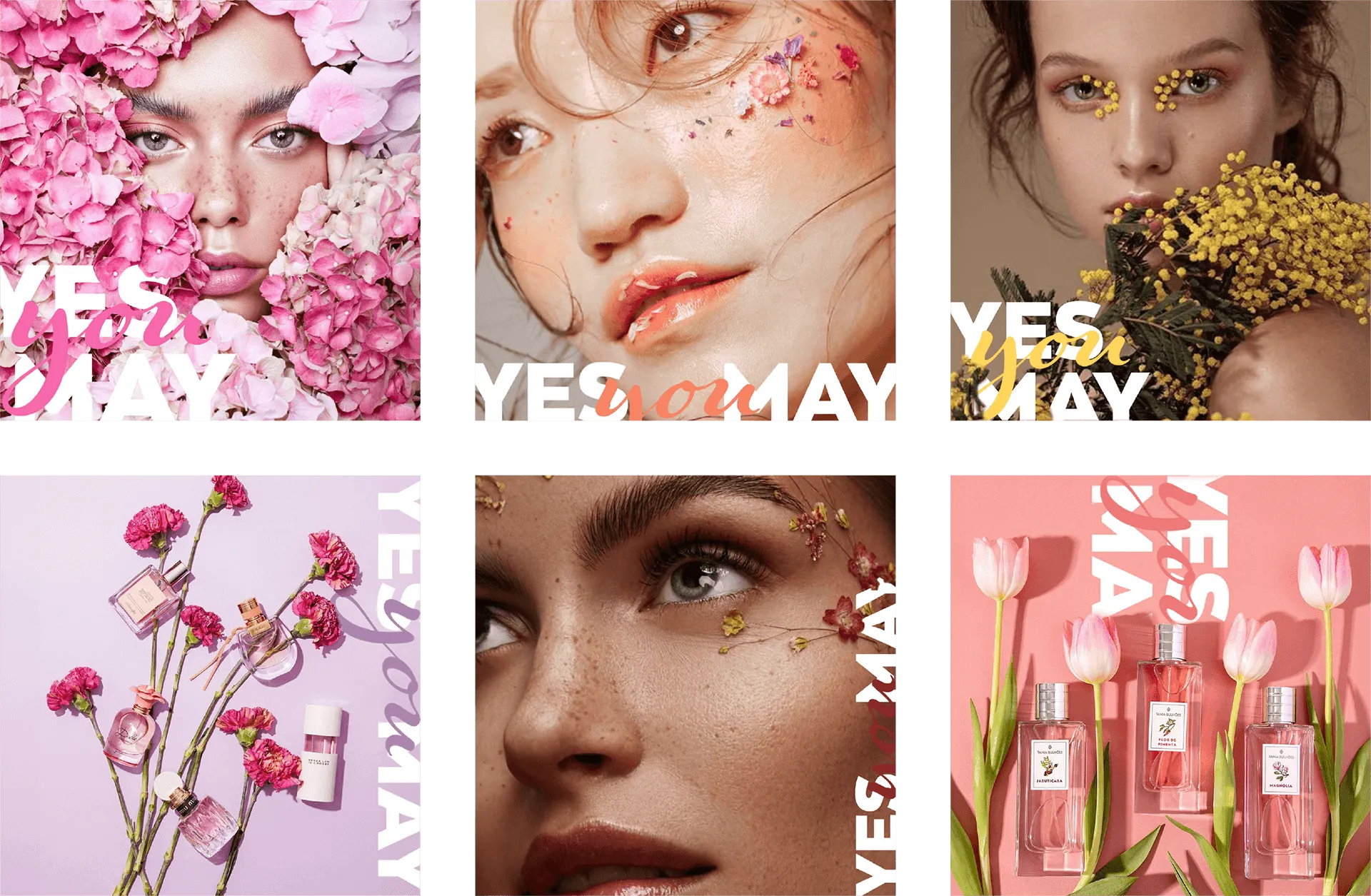 Dust + Cream rebranding showcase image 1